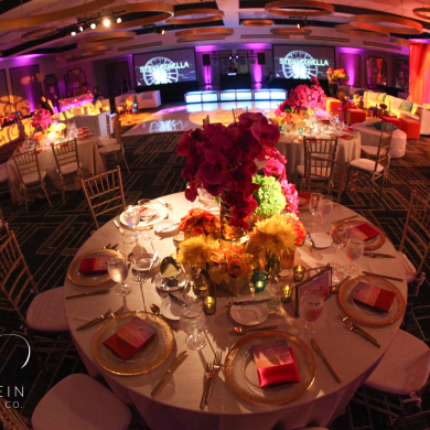 IMG_0178-2-copy