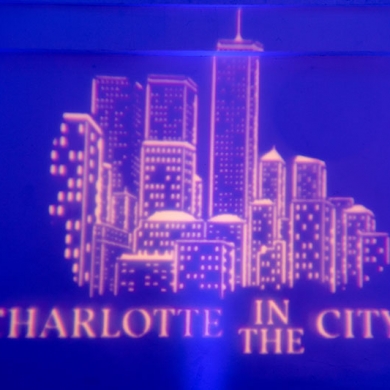unique-bat-mitzvah-ideas-gobo-design